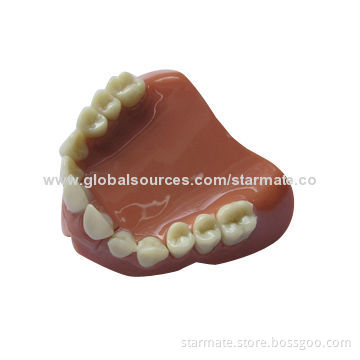 Teeth USB Flash Drive with 128, 256, 512MB, 1, 2, 4, 8, 16, 32GB Capacity